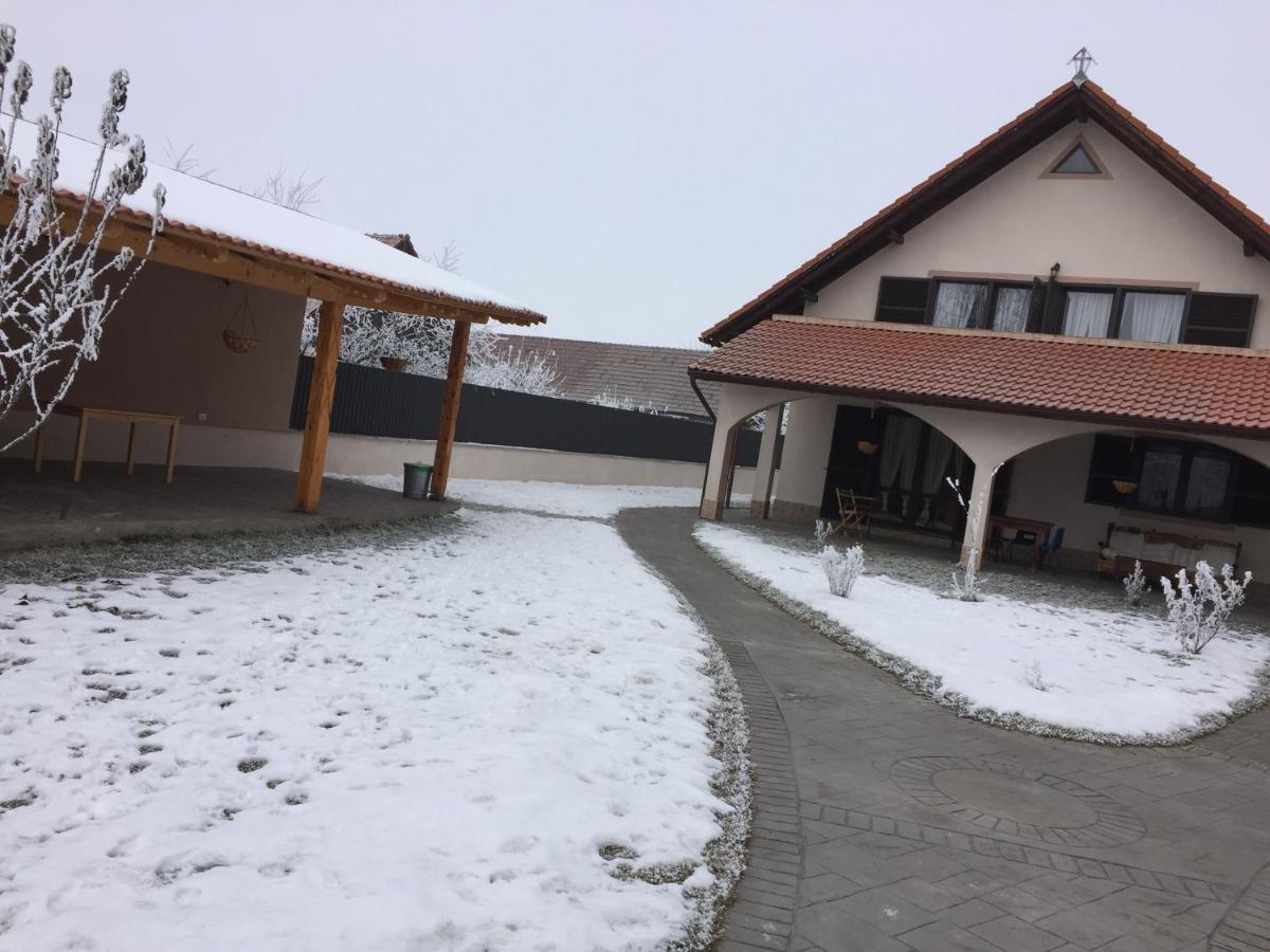 Pensiunea Simona Sîmbăta de Sus Buitenkant foto